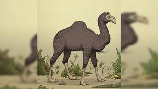 Encuentra al propietario del camello: soluciona este difícil acertijo visual en tiempo récord