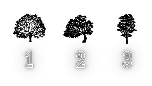 TEST VISUAL | De los árboles mostrados, selecciona el que te agrade más. (Foto: Composición Freepik / Depor)