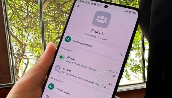 La nueva opción de WhatsApp también te ayudará a ahorrar una gran cantidad de almacenamiento. (Foto: Depor)