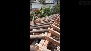 Mal cálculo, míster: albañil quedó atrapado en su propia construcción y es viral [VIDEO]