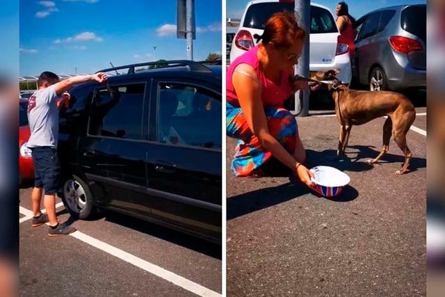 Varias personas intervinieron para que el perro no muera de golpe de calor dentro del vehículo. | Foto: Zoey Thornton/Facebook