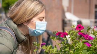 ¿Por qué el coronavirus provoca la pérdida del olfato? Estudios revelan la respuesta