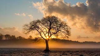 Frases de buenas tardes de hoy, 19 de julio: reflexiones, imágenes y mensajes del martes