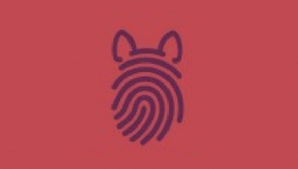 En esta imagen se aprecia el dibujo de una huella dactilar y el de unas orejas de gato. (Foto: MDZ Online)