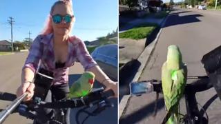 Loro se pasea en bicicleta con su dueña y momento causa ternura en redes sociales 