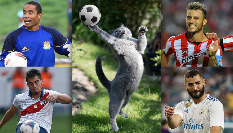 Día internacional del gato: los futbolistas que son comparados con felinos