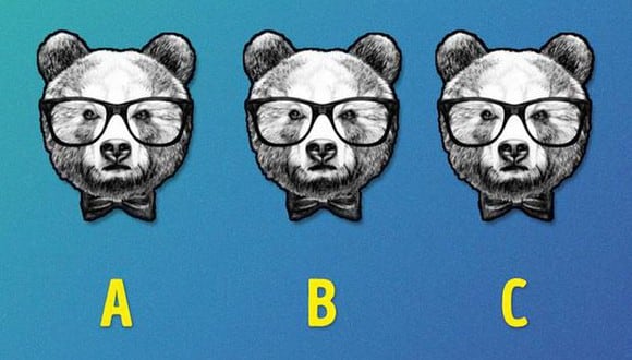 ¿Cuál de los tres osos crees que es distinto a los demás? El reto visual más complejo. (Foto: Genial.Guru)