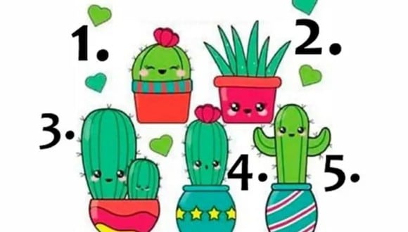 TEST VISUAL | Esta imagen te permite apreciar varios cactus. Escoge uno. (Foto: namastest.net)