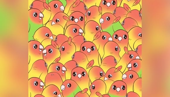 Entre la bandada de loros se esconde un mango maduro. ¿Puedes encontrar la fruta escondida en 5 segundos?n (Foto: Brightside.me)