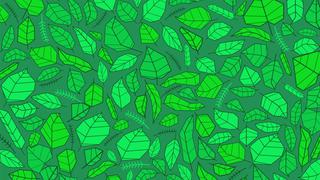 ¿Encuentras las cinco tortugas escondidas entre las hojas en este viral?