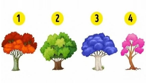 TEST VISUAL | En esta imagen se puede apreciar cuatro árboles. Escoge uno. (Foto: namastest.net)