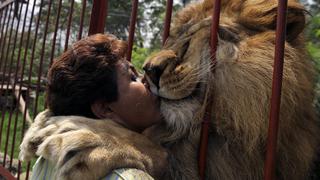 El conmovedor último abrazo del león ‘Júpiter’ con la mujer que lo salvó de un circo antes de morir