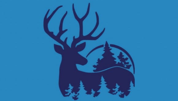 En esta imagen hay dos opciones: el ciervo y los pinos. ¿Qué ves primero? (Foto: MDZ Online)