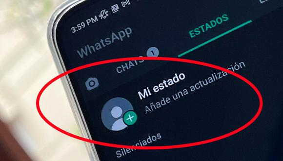WhatsApp: cómo descargar los estados de tus contactos sin utilizar apps de terceros. (Foto: MAG)