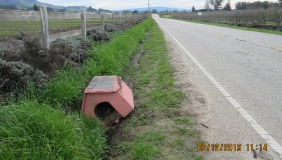 Lo que había en el interior de la pequeña casa abandonada impactó a miles de usuarios. (Foto: Santa Cruz County Animal Shelter / Facebook)