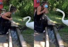 Cisne “ataca” a mujer con mascarilla mal puesta y se la coloca debidamente