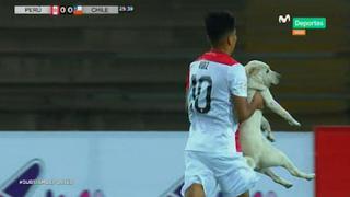 Perú vs. Chile: perrito se metió a la cancha del partido por el Sudamericano Sub 17 [VIDEO]