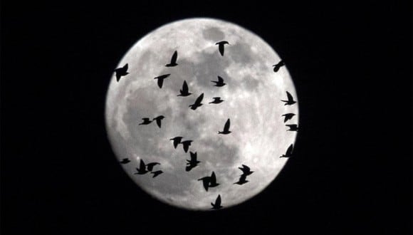 Eclipse Lunar: cuándo es, cómo verlo y a qué hora podrá ser visto en México. (Foto: EFE)