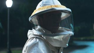 “WandaVision”: Wanda podría haber matado al apicultor según teoría