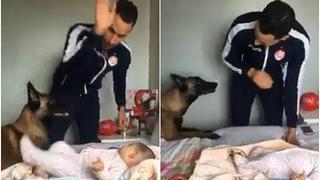 Un hombre finge atacar a su hijo frente a su perro y la reacción del can se hace viral