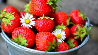 Cómo conservar por dos semanas las frutas en la nevera y en perfecto estado