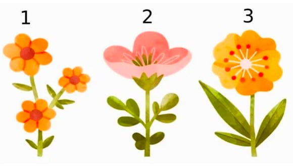Te mostramos en el test visual tres opciones de flores y tú tendrás que elegir solo la que llame más tu atención. | Foto: genial.guru