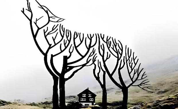 Visual test of the wolf, the house and the branches: tell us what you see and know the age of your mind (Photo: Bright Side).