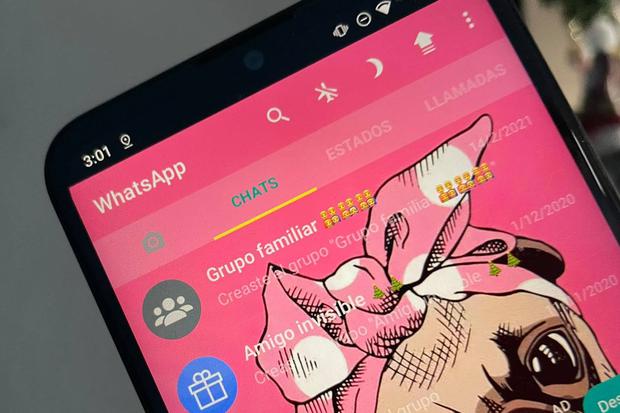 This way you can see WhatsApp in pink.  Know all the steps.  (Photo: MAG)