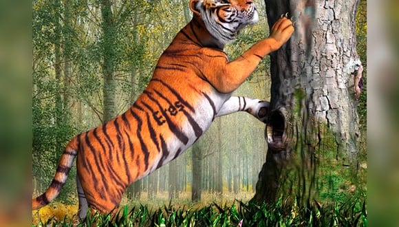 En esta imagen de tigre, trata de encontrar el mensaje oculto en el menor tiempo posible. (Foto: genial.guru)