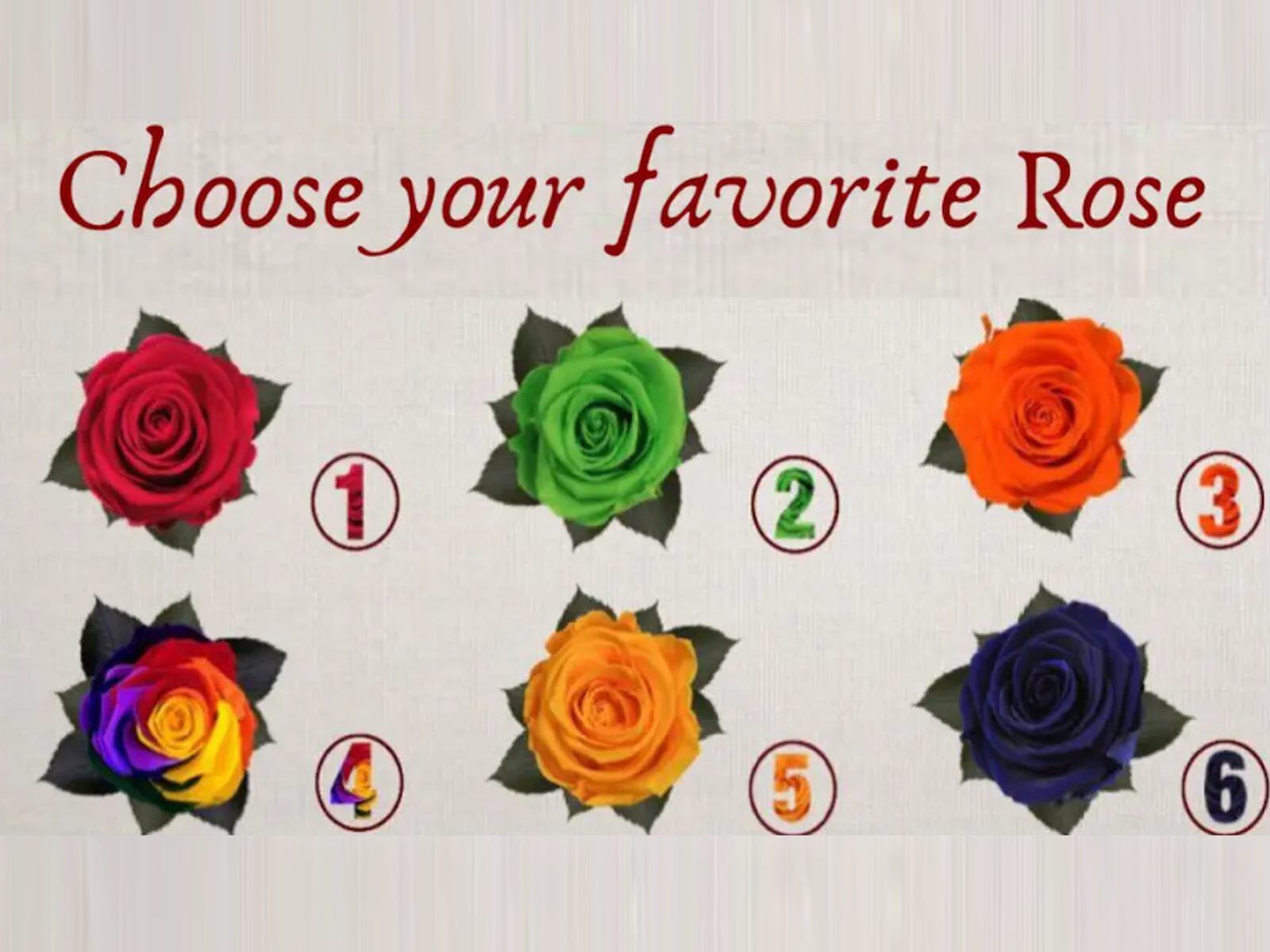 TEST VISUAL | Esta imagen te muestra muchas rosas. ¿Cuál es tu favorita? (Foto: namastest.net)