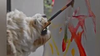Arte abstracto canino: perro aprende a dibujar con su hocico y resultado causa furor en redes sociales [VIDEO]