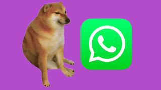 WhatsApp y el truco para descargar los mejores stickers de Cheems