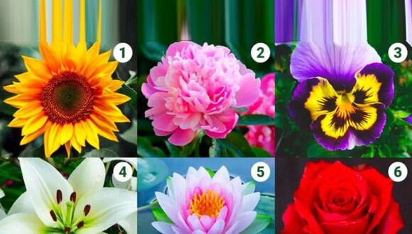 TEST VISUAL | En esta imagen hay muchas flores. Tienes que elegir una. (Foto: namastest.net)