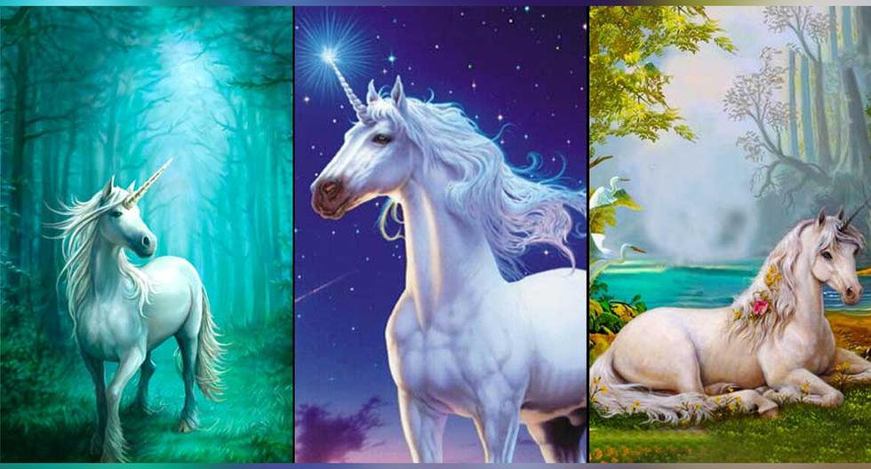 Visual Test |  Choose Your Unicorn and Discover Your Personality: A Magical Journey of Self-Discovery |  Mexico