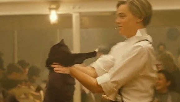 Recrean 'Titanic' pero con una diferencia: en vez de Kate Winslet la protagonista es una gata. (Foto: @Owl__Kitty)