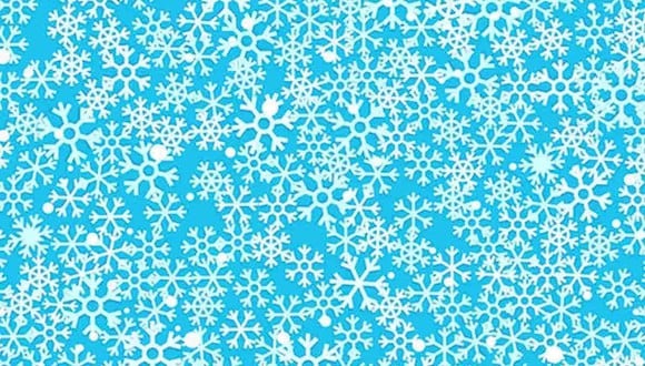 Ubica los 3 copos de nieve con centro de estrella en la imagen. (Foto: Noticieros Televisa)