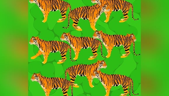 ¿Cuántos tigres puedes ver en la imagen? (Foto: Brightside.me)