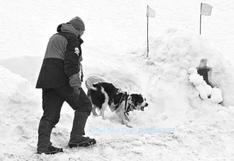 Quedó “enterrado” bajo la nieve y captó el momento en que una perrita de montaña lo rescató