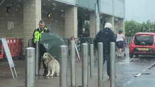 Emotivo viral: guardia protegió a un perro de la lluvia y se gana el corazón de todos en redes sociales