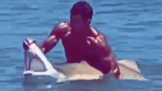 VIDEO VIRAL: HOMBRE manipula a TIBURÓN en playa usando solo sus manos