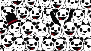 ‘Peloteros’, háganse presente: ubica el balón de fútbol escondido entre los pandas del desafío viral 