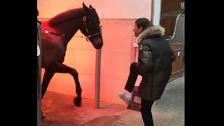 Es viral en Facebook: Thomas Müller y la tierna manera de divertirse con un caballo [VIDEO]