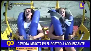 Video viral: Gaviota se estrella contra la cara de jovencita en juego mecánico