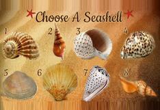 Tu forma de ser quedará expuesta cuando selecciones una concha marina