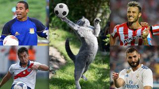 Día internacional del gato: los futbolistas que son comparados con felinos