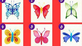 Test viral: reconoce tu peores defectos y mayores virtudes al escoger una de las mariposas
