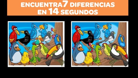 Hay 7 diferencias entre las dos imágenes de aves, y debes encontrarlas en 17 segundos. (Foto: jagranjosh)