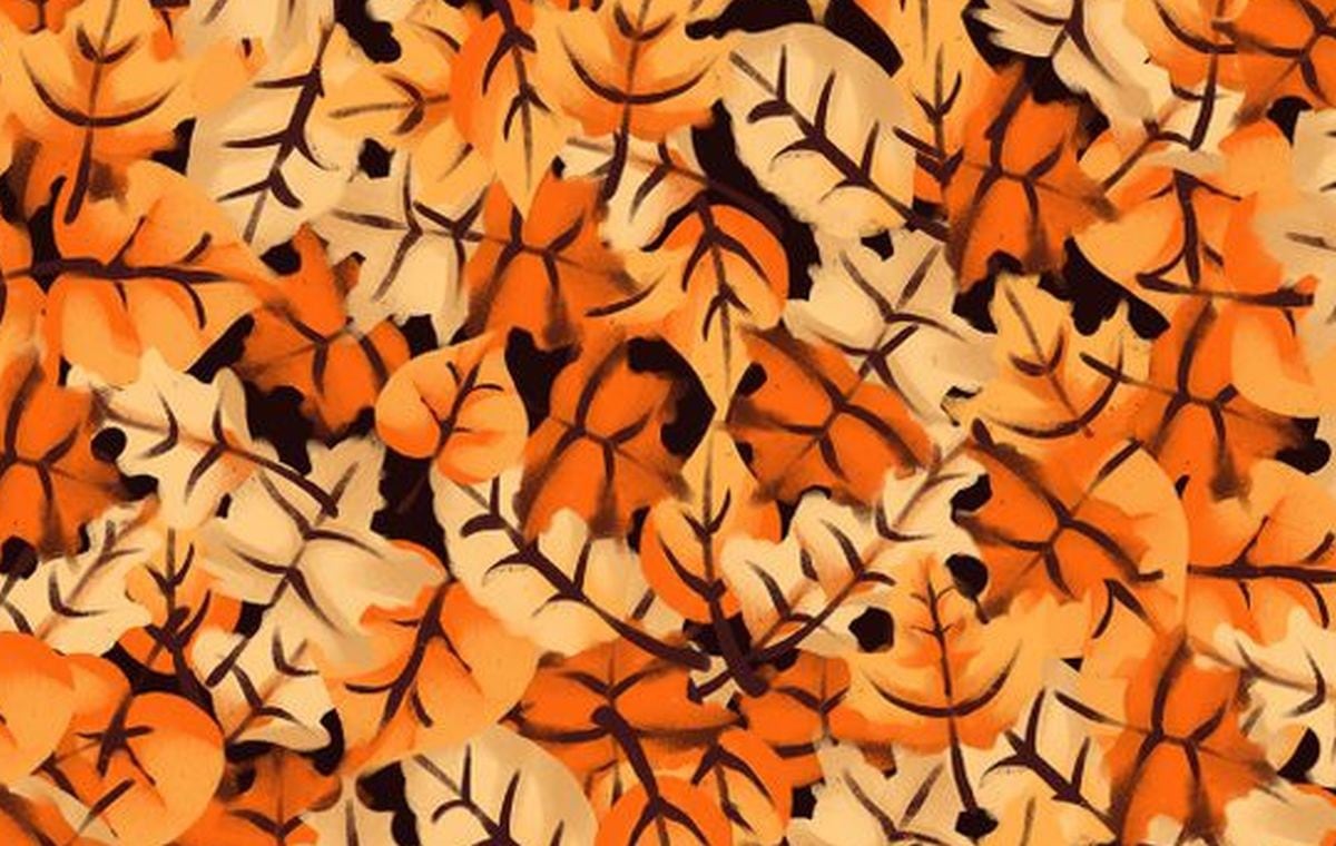Halla al tigre escondido entre las hojas de otoño de este reto que es viral en redes (Foto: Facebook)