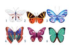 Escoge la mariposa que más te guste y este test psicológico te revelará aspectos ocultos de tu personalidad 