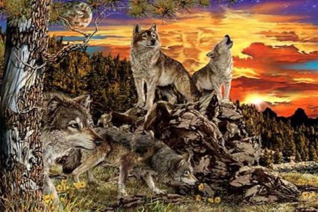 ¿Cuántos lobos ves en la imagen?  El número que puede encontrar revelará información sobre su personalidad.  (Facebook)